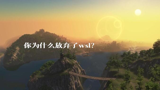 你为什么放弃了wsl？