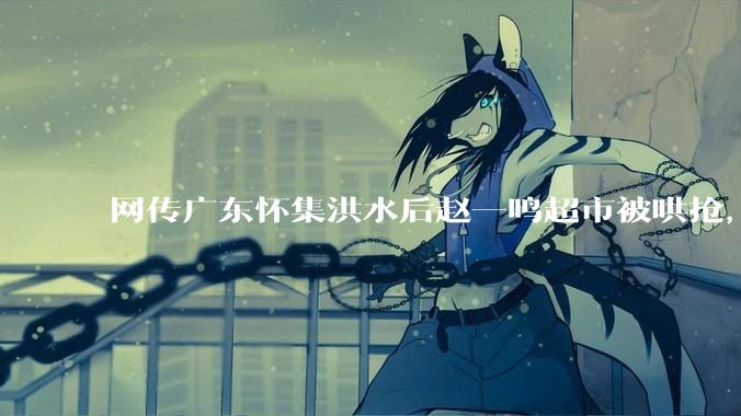 网传广东怀集洪水后赵一鸣超市被哄抢，县***回应相关单位正在核实，若属实哄抢者该承担哪些法律责任？
